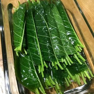 桜の葉の塩漬け レシピ 作り方 By Miashimatora 楽天レシピ 桜の葉の塩漬け レシピ 作り方 By Miashimatora 楽天レシピ